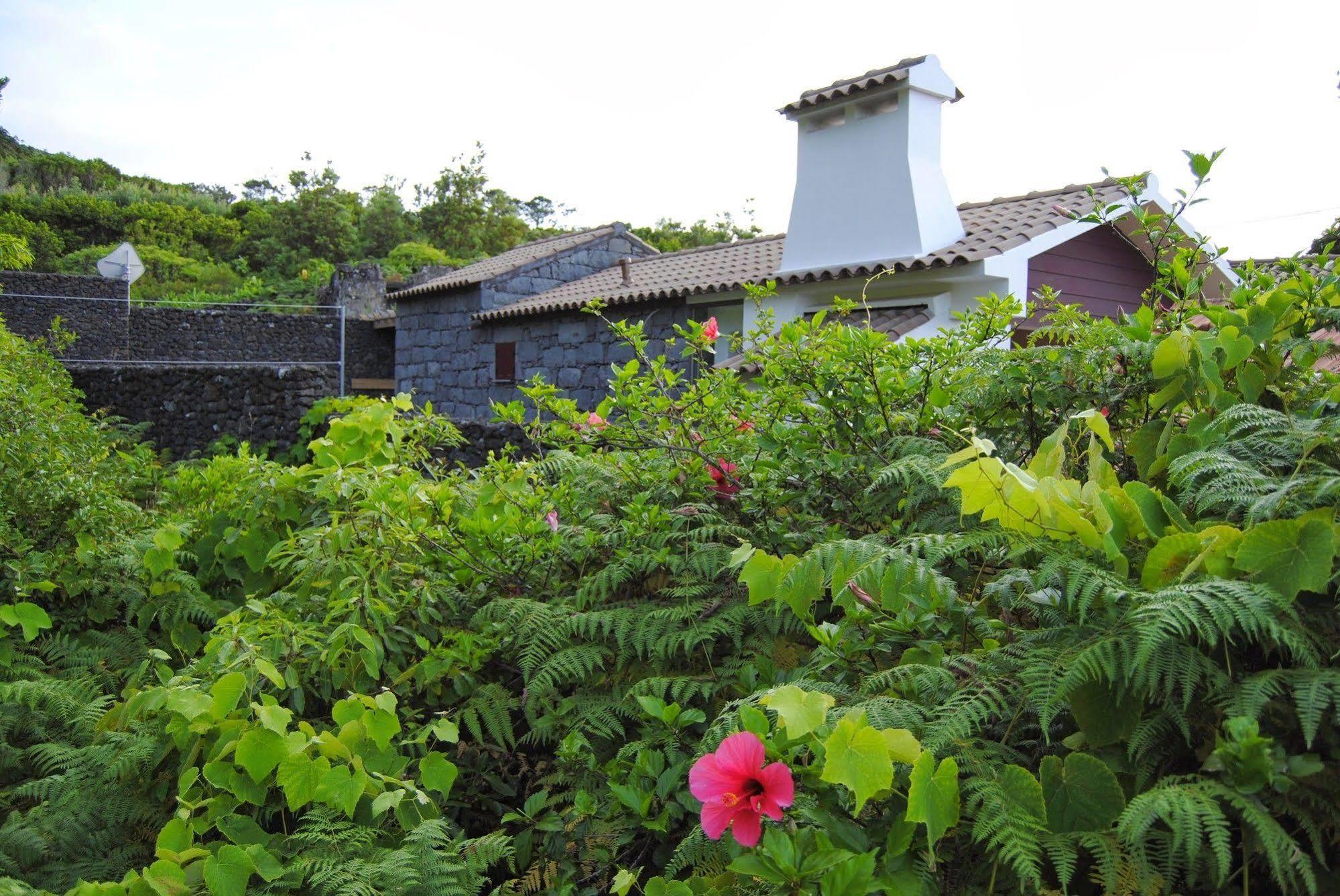 Casas Da Faja Villa Praia do Norte Eksteriør bilde